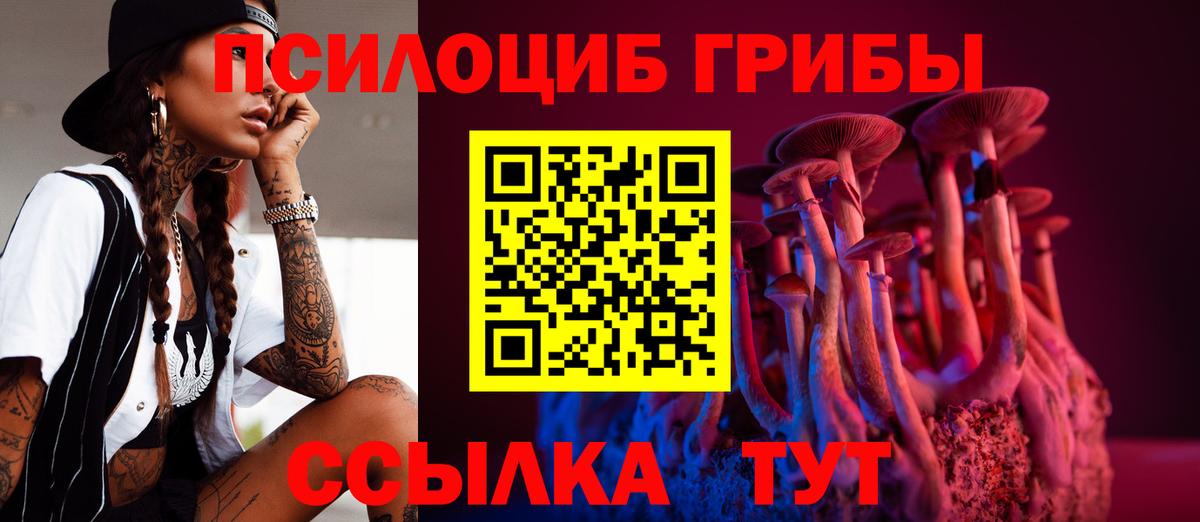 Псилоцибиновые грибы Cubensis Ейск