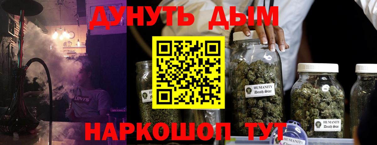 Бошки марихуана план  Вход с VPN  Марихуана Bruce Banner  Конопля план  Ейск 